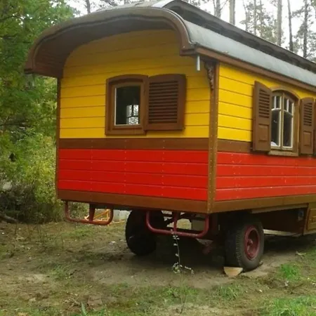 Zigappo Directeur Ferienhaus