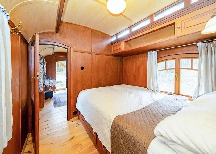 Zigappo Directeur Lychen